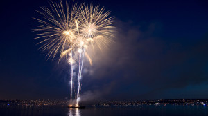 Amazing Fireworks Party Photos