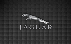 Jaguar Logo HD Wallpaper