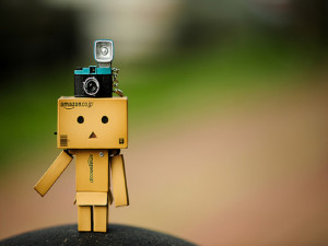 Danbo Stand With Camera Wallpaper