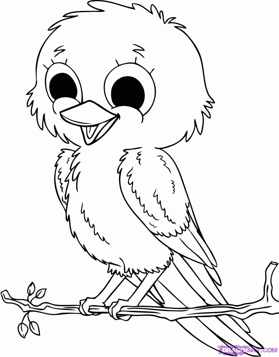 Bird Animal Coloring Pictures