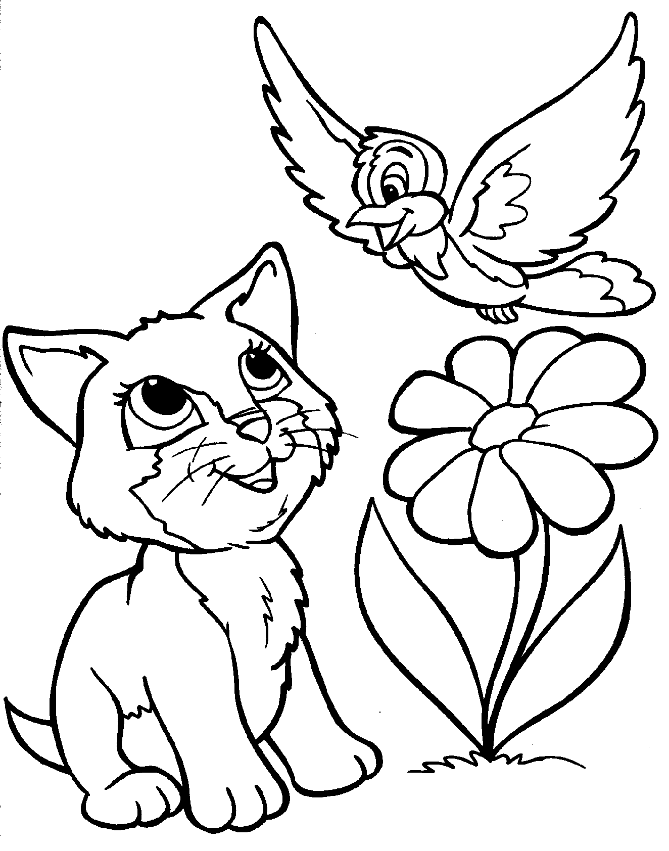Kitten Animal Coloring Pictures