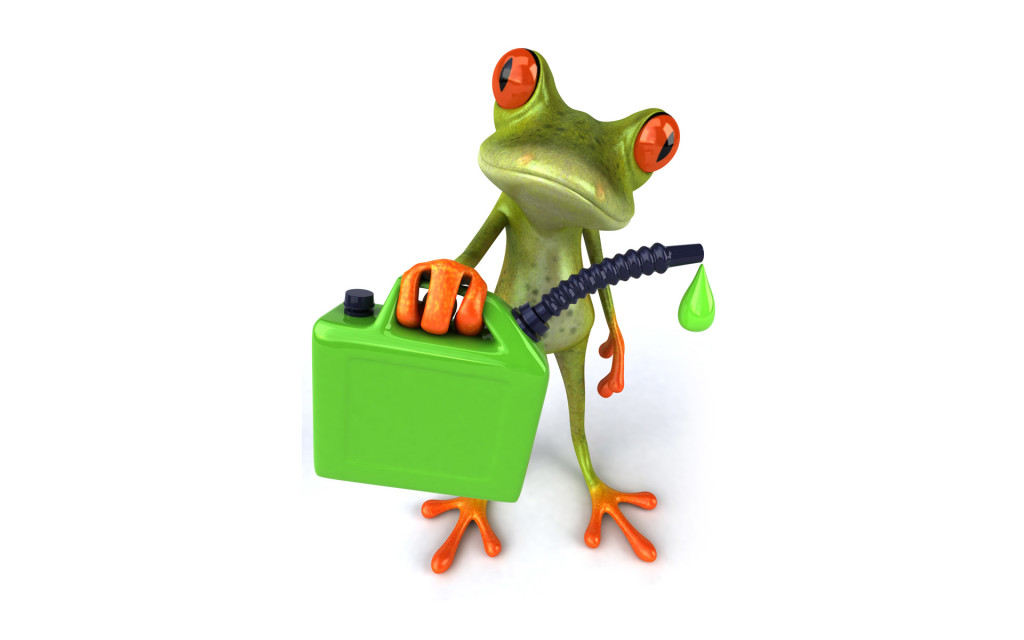 Funny Frog Wallpaper Android Mac
