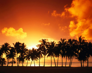 Summer Beach Sunset Wallpaper