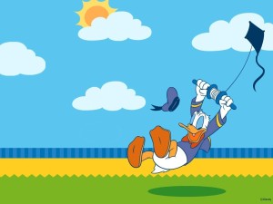 Donald Duck Wallpaper HD 04