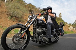 Harley Davidson Wallpaper Picture