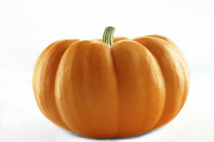 Pumpkin Images HD