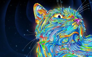 Colorful Abstract Design Cat Wallpaper HD