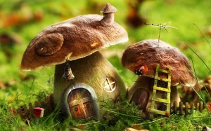 Cute Mushroom House Wallpaper HD