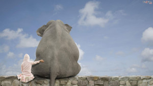 Elephant And Girl Friendship Funny Wallpaper