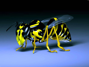 Yellow Bee 3D Wallpaper HD