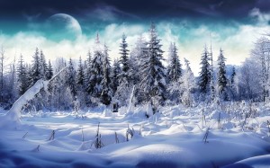Winter HD Wallpaper